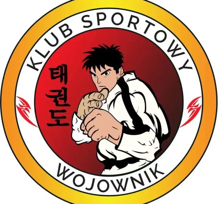 Zawodnicy KSW Wojownik TKD walczyli w Mysłowicach na Polska Liga Kickboxing