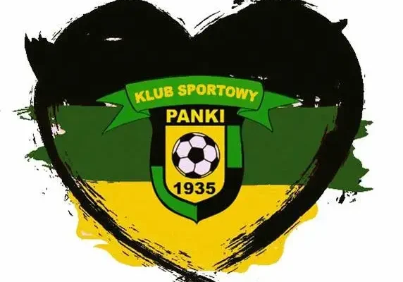 KS Panki przełamuje złą passę! Wygrana 1:0 ze Skrą Częstochowa / Amator Golce