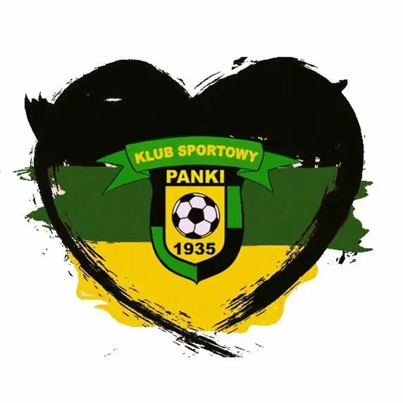 KS Panki przełamuje złą passę! Wygrana 1:0 ze Skrą Częstochowa / Amator Golce