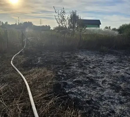 Pożar nieużytków w pobliżu zabudowań w Ślusarzach – interwencja straży