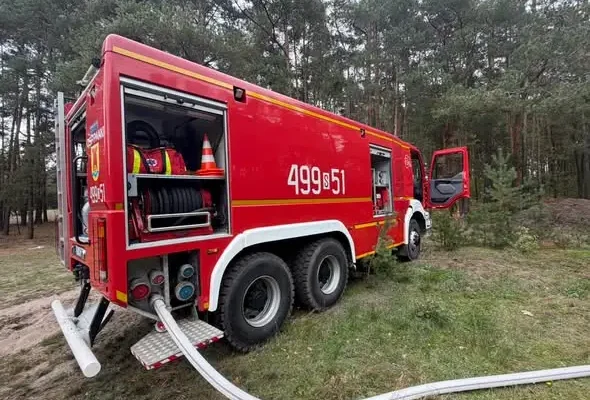 Pożar lasu w Cygance — zadysponowano ciężki zastęp straży pożarnej