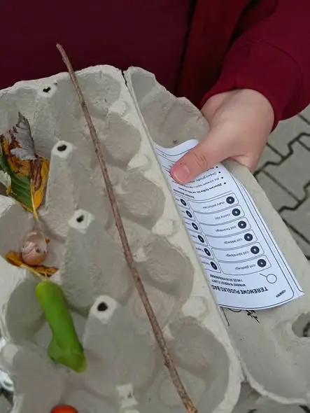 Klasa 4 zamieniła szkolny teren w laboratorium przyrodnicze